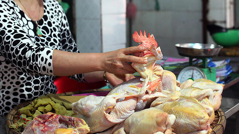 Vietnam confirmed the second death from bird flu in 2014