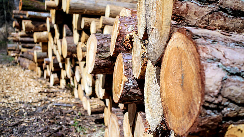 Holz erzielt akutell Rekord-Preise