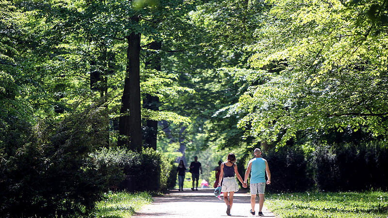 Parks, Innenhöfe, grüne Fassaden: Linz braucht eine Strategie gegen die Hitze
