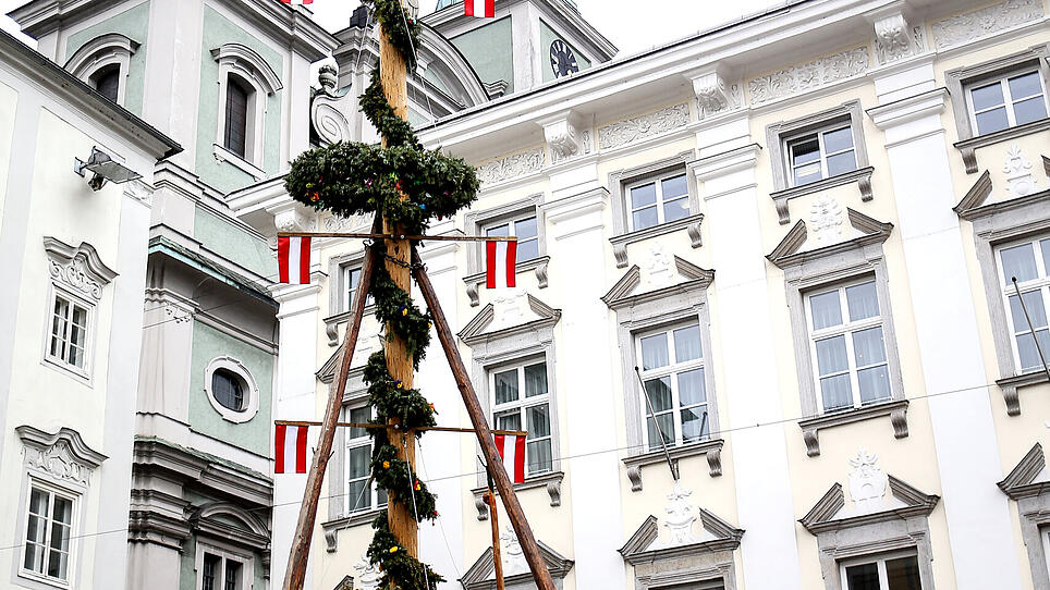 Maibaum wird heute ohne Feier in Linz aufgestellt