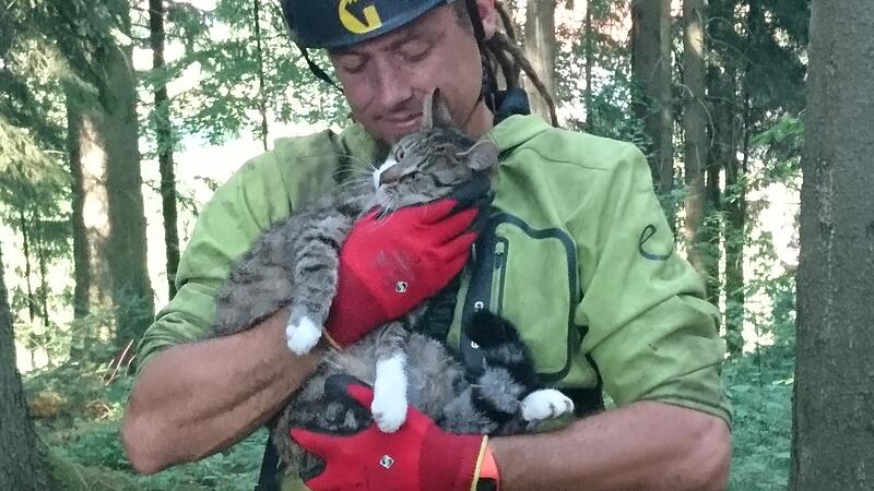 Katze Charlie nach vier Tagen im Baum gerettet