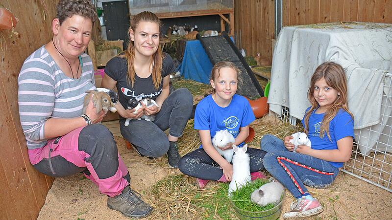 Tierheim rettete 357 Kaninchen und 66 Meerschweinchen bei Großeinsatz