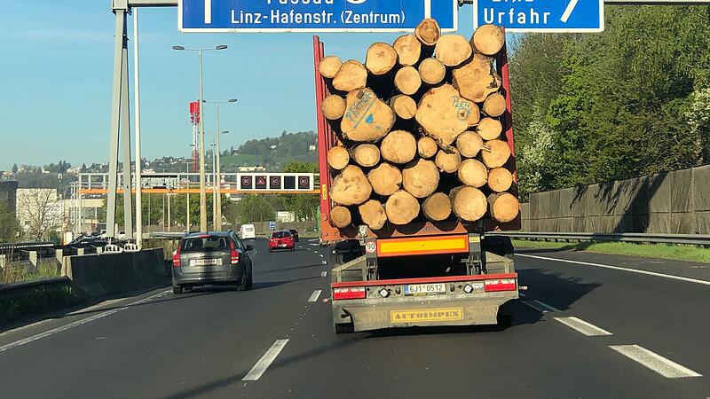 Im Mühlviertel verrottet das Holz, trotzdem Importe aus Tschechien