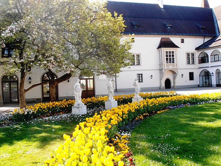 Leserfotos: So schön ist Oberösterreich im Frühling