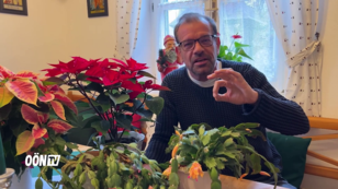 Plobergers Gartentipp: Warum wissen Pflanzen, dass Weihnachten ist?