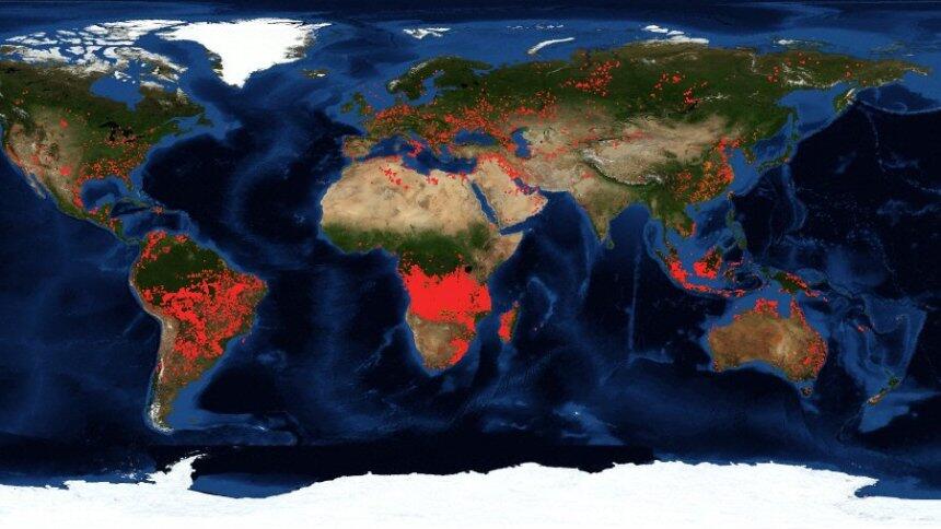 Die Erde brennt: Amazonas, Sibirien und Afrika