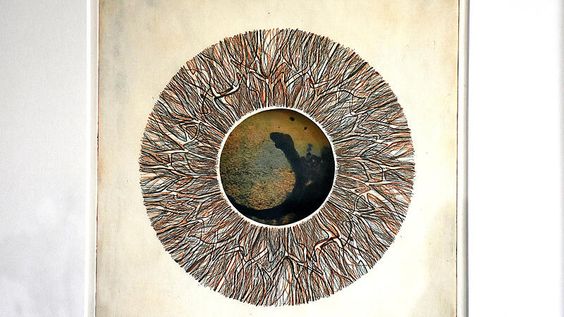 Ausstellung in Bad Hall: Das Auge als Kunstwerk