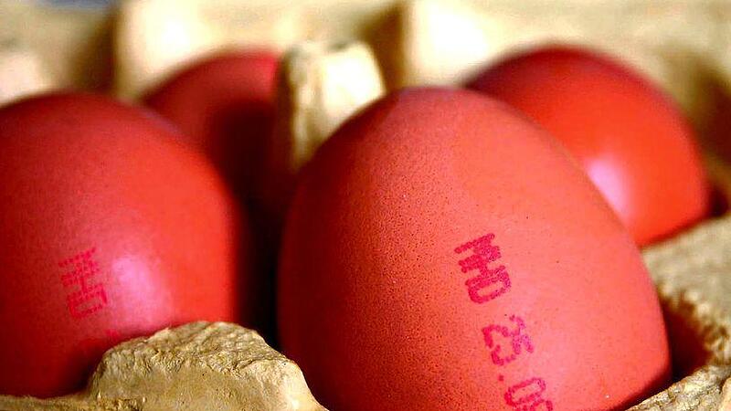 Vorwurf gegen Großhändler: Über eine Million Eier falsch gestempelt