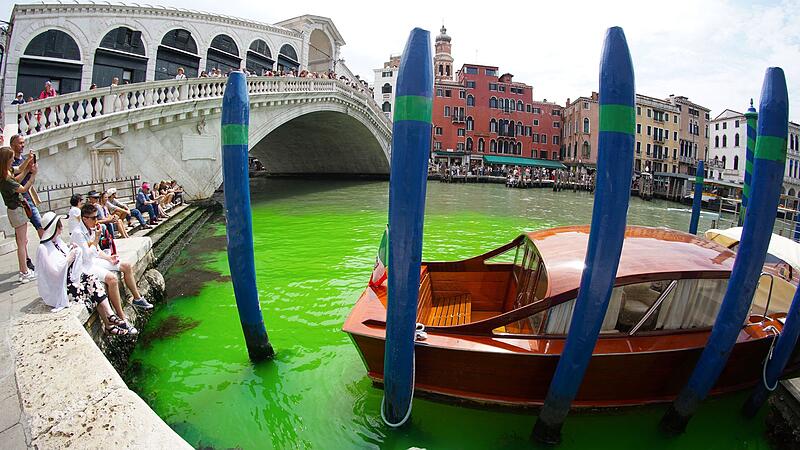 Green liquid in the Grand Canal in Venice not dangerous