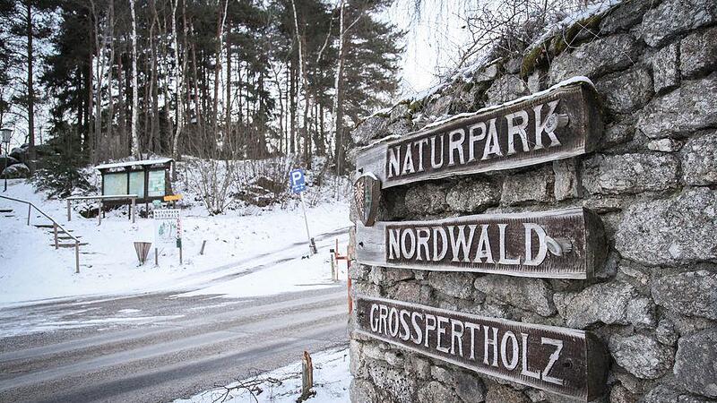 Wolf Naturpark Nordwald
