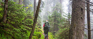 Wanderung Wald Nass Regen Mann Wanderer