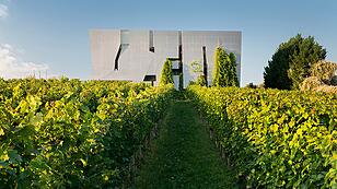 20 Jahre Wein und Architektur als Lebensgefühl