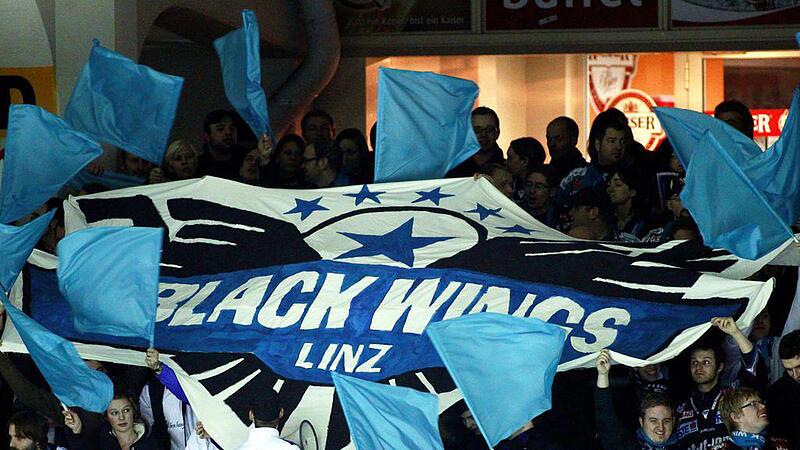 Black Wings Fans