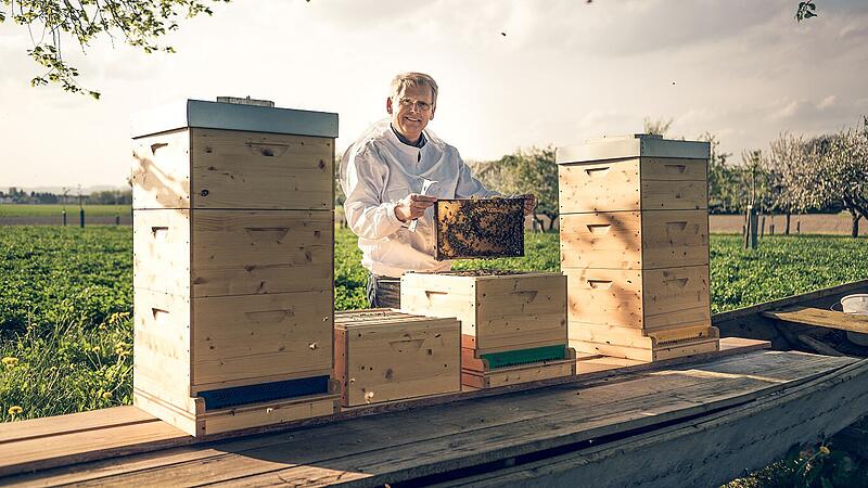Trend-Hobby Imkern Wenn Manager für Bienen schwärmen