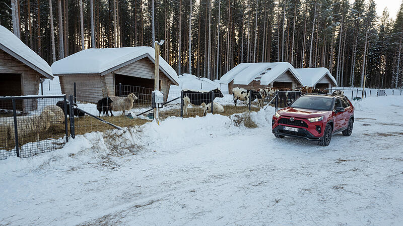 Toyota RAV4: Souverän im Schnee und auf Eis