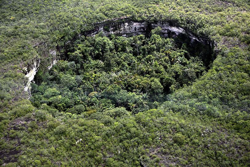 Größter Tropenwald-Nationalpark der Welt