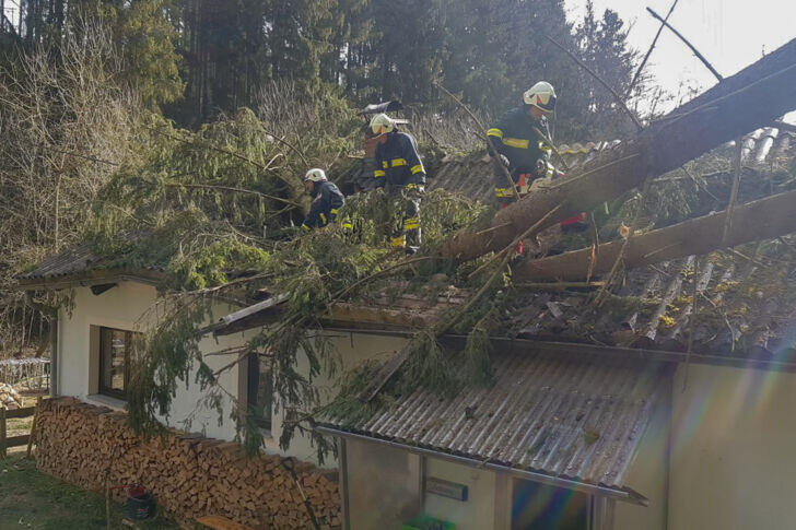 Bäume stürzten auf Hausdach und Auto in Lasberg