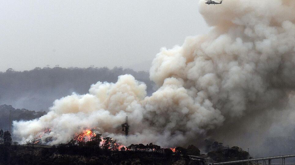 Australien: Stars spenden Millionen Dollar für Opfer der Buschbrände