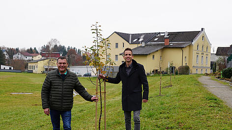 Obst für alle: Stadt pflanzte 15 Bäume auf "Tanzwiese"