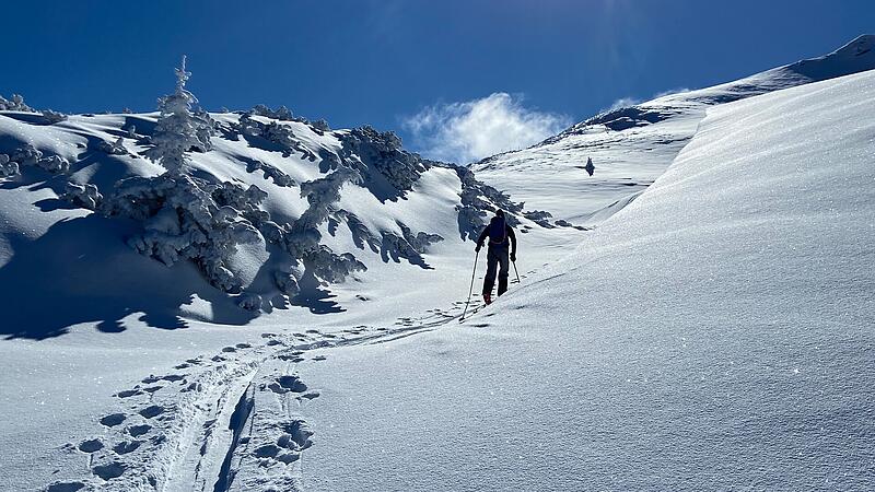 Weiß, weit und wandern – auf Skiern