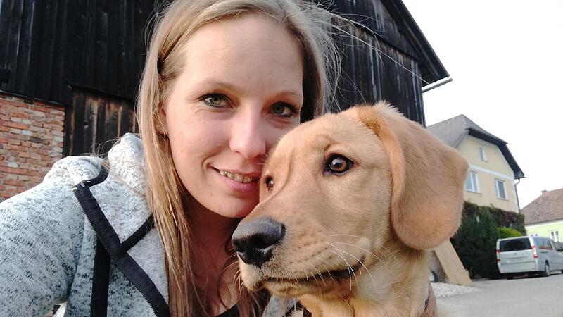 Tierärzte warnen vor Birkenzucker: "Für Hunde sind geringe Dosen tödlich"