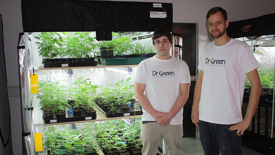 "DrGreen": Weitere Shops mit legalem Verkauf von Cannabis-Pflanzen