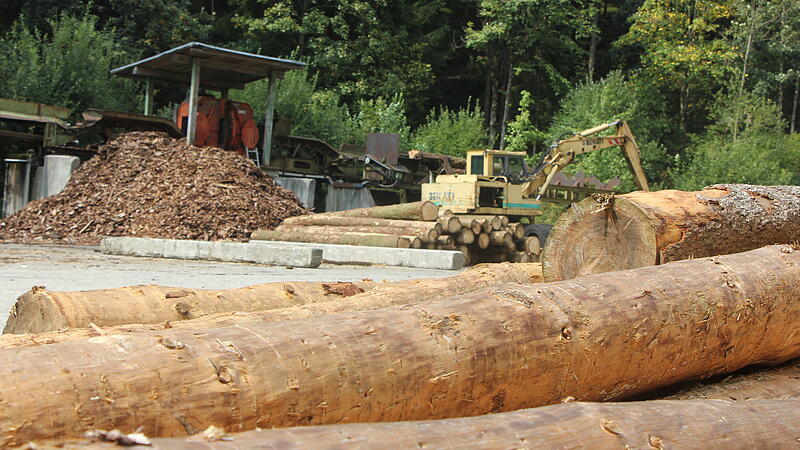 Borkenkäfer: Neues Holzlager schafft Entlastung für Perger Waldbesitzer