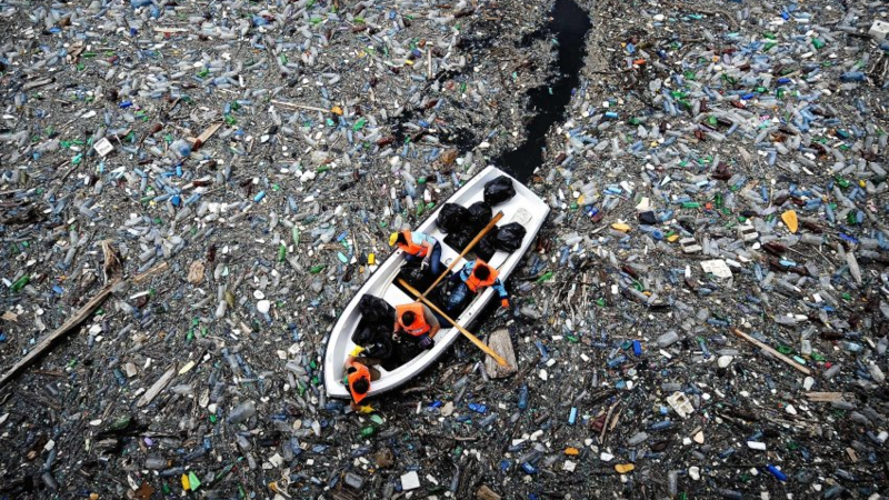 2050 gibt es mehr Plastikmüll als Fische in den Meeren