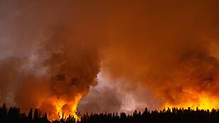 Waldbrände wüten nahe US-Nationalpark Yosemite