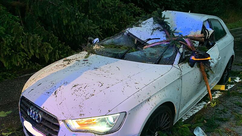 Dramatic scenes in bad weather: tree hit a moving vehicle in Schärding