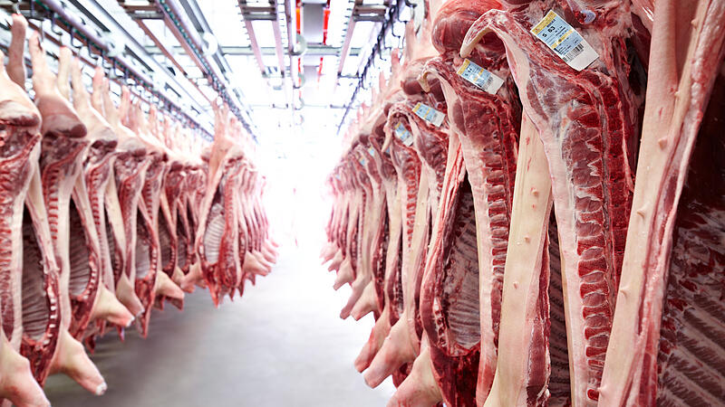 Warum Billigfleisch die deutschen Schlachthöfe teuer zu stehen kommt