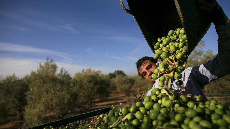 COMMODITIES-OLIVEOIL/