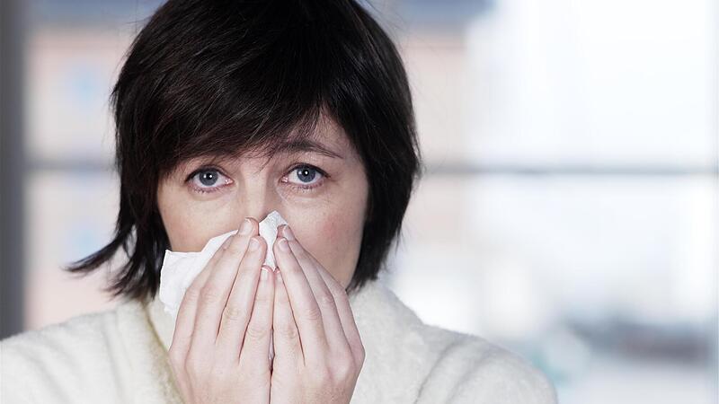 Allergie im Winter: Purpurerle als Auslöser