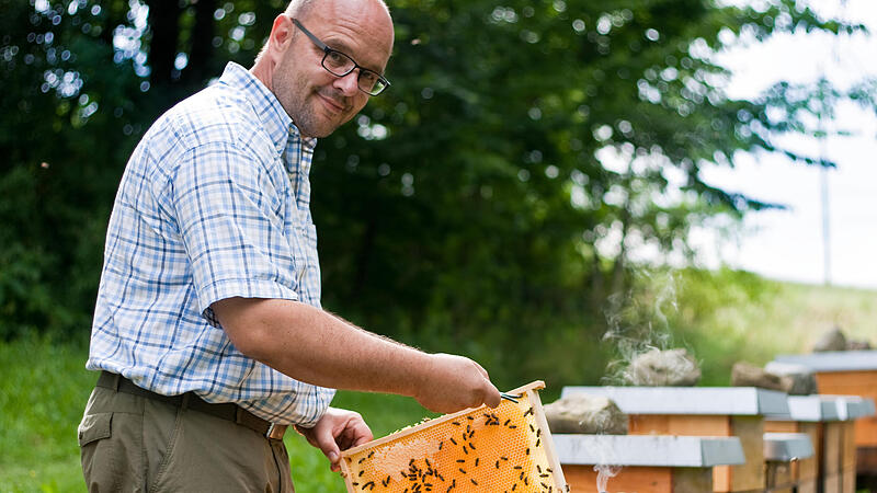 Landwirte und Imker: So werden sie zu "Bienenfreunden"