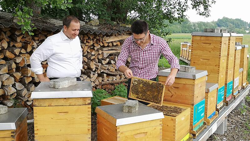 Hightech im Bienenstock: Imker erhält die Daten kabellos geliefert