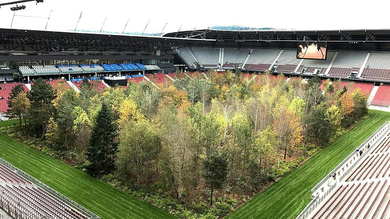 "For Forest": Rund 200.000 Besucher im "Waldstadion"