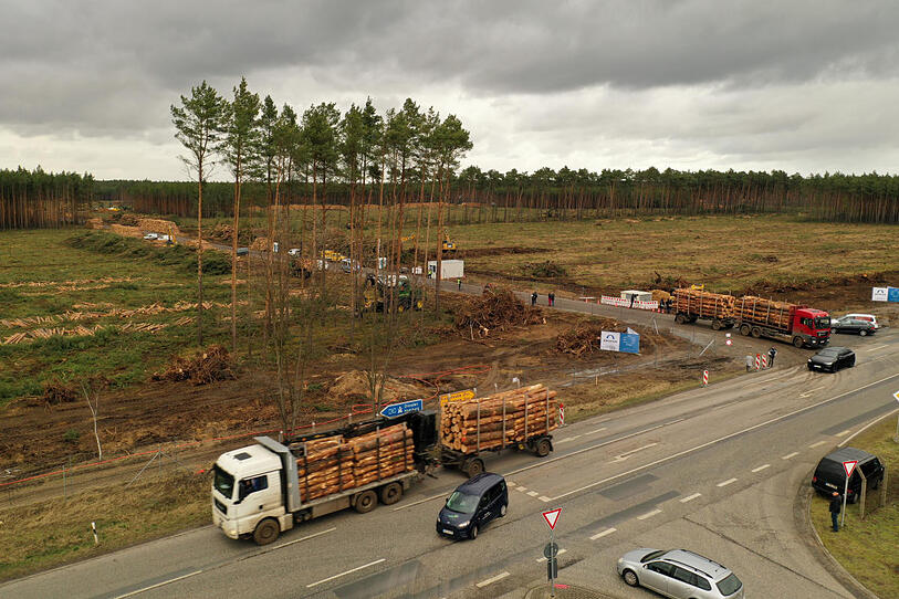 Für Fabrikbau: Tesla rodet Waldstück in Deutschland