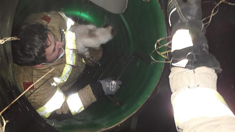 Feuerwehr rettete Katze aus Wasserkanal