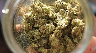 Marihuana Cannabis