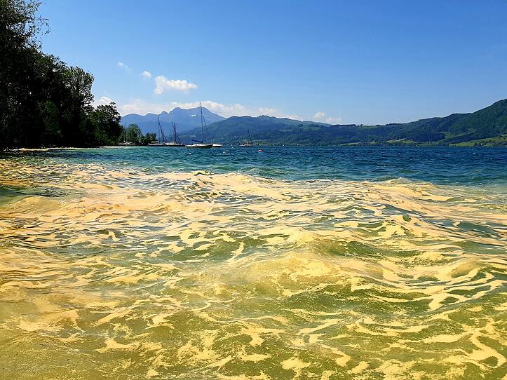 Blütenstaub färbt Oberösterreichs Seen gelb