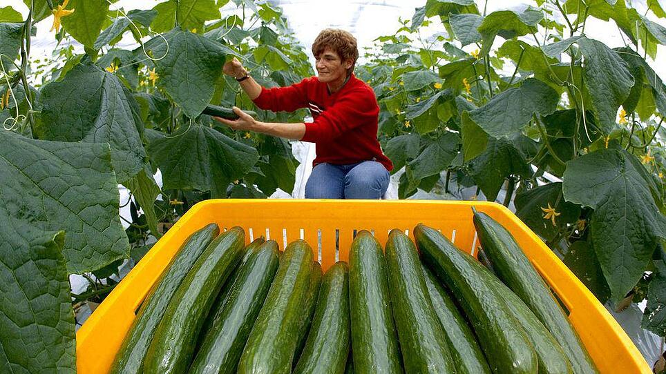 Rückholung von spanischem Gemüse auch in Oberösterreich