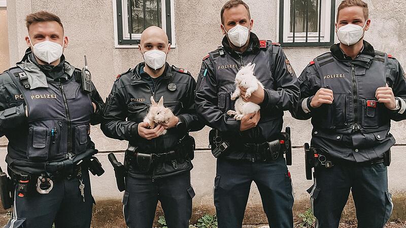 Wiener Polizisten retteten ausgesetzte Zwerghasen