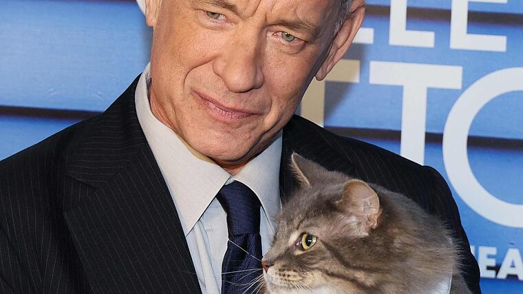Tom Hanks: A cat stole the show on the red carpet