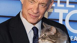 Warum Tom Hanks bei Filmpremiere mit einer Katze posiert