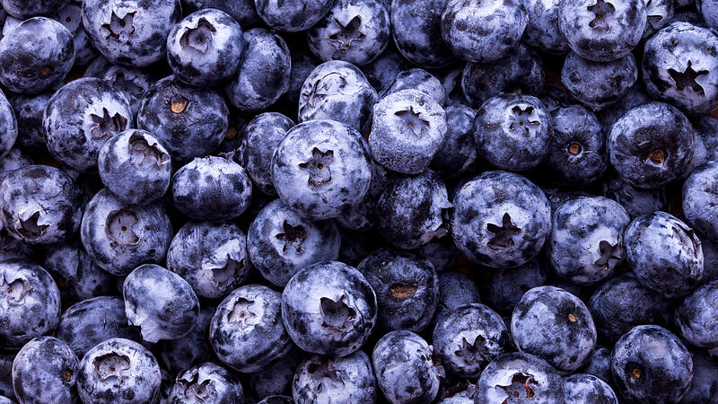 Close up fresh blueberries background