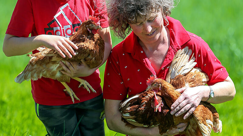 Jeder Tag ein Eiertag: Eine Frau und ihre 7000 Hühner