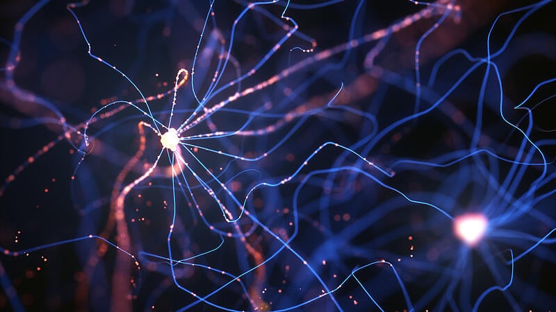 Wie Neuronen geschaltet werden können