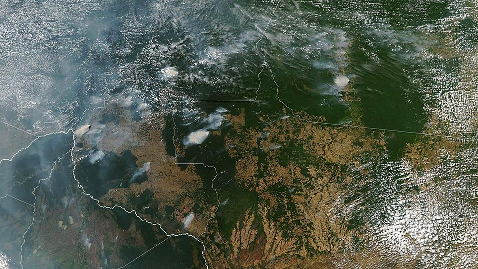 Waldbrände in Brasilien: Der Präsident geht auf die Umweltschützer los