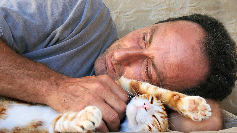 Relaxing man and cat