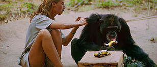 Affenforscherin Jane Goodall ist 90